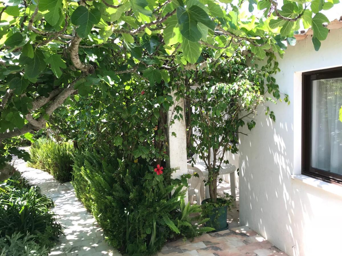 Apartment Terrace