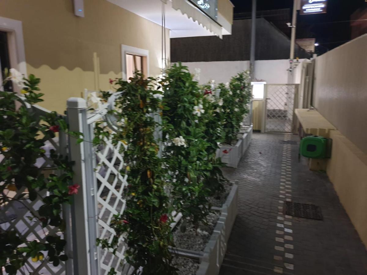 Studio Terrace