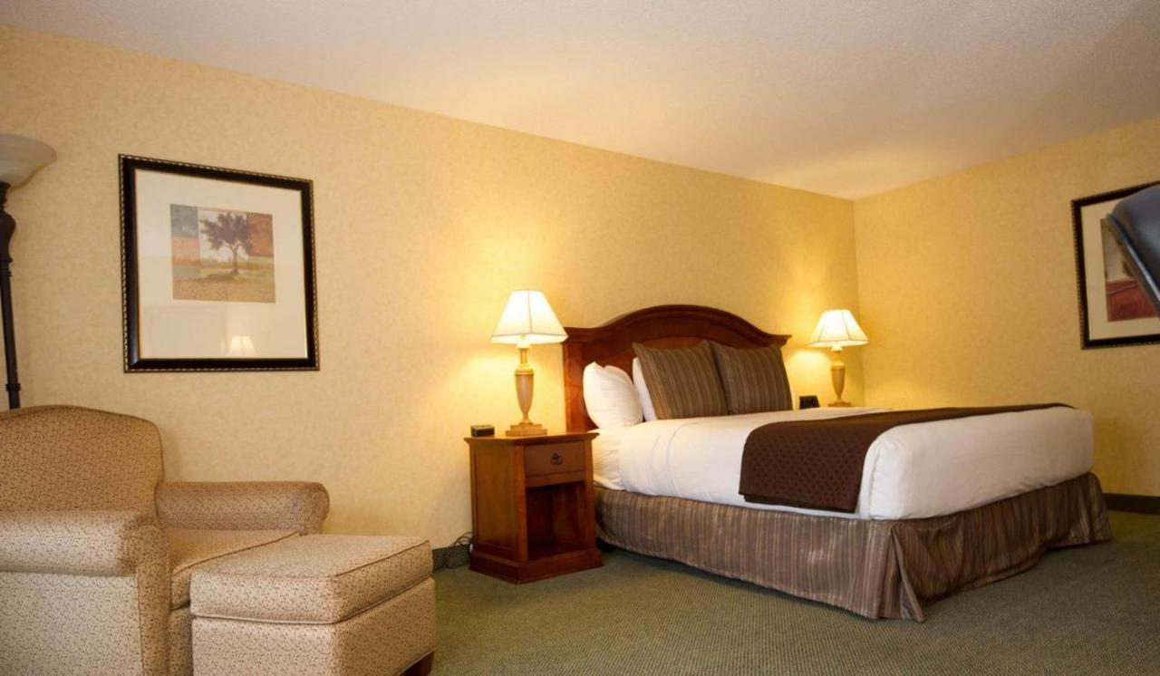 Economy Queen Room,703068316:JPEG