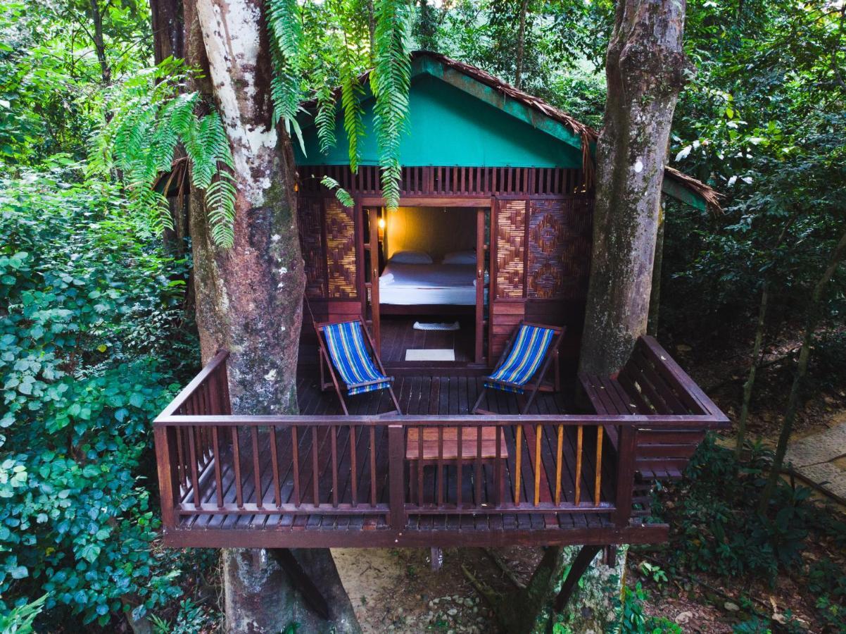 Treehouse Double