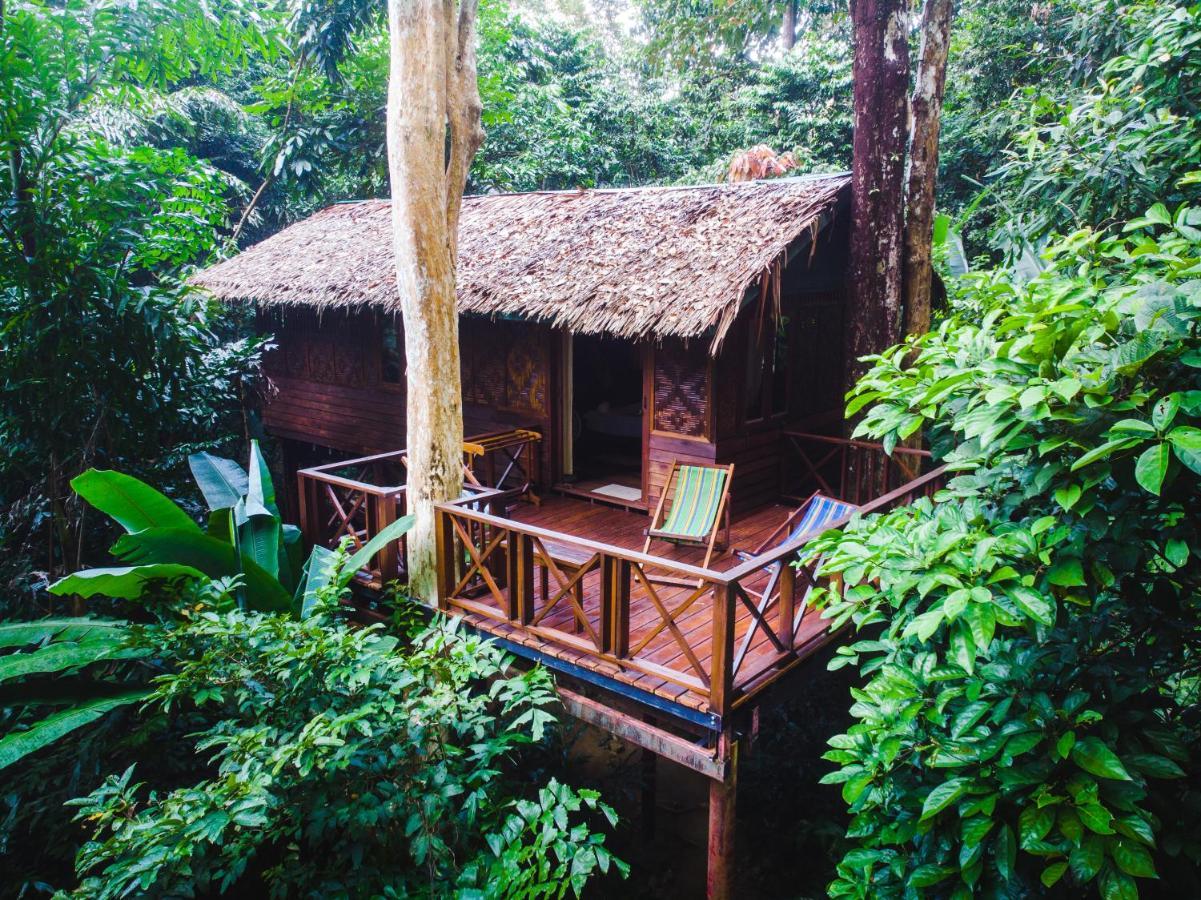 Treehouse Family,1063163149:JPEG