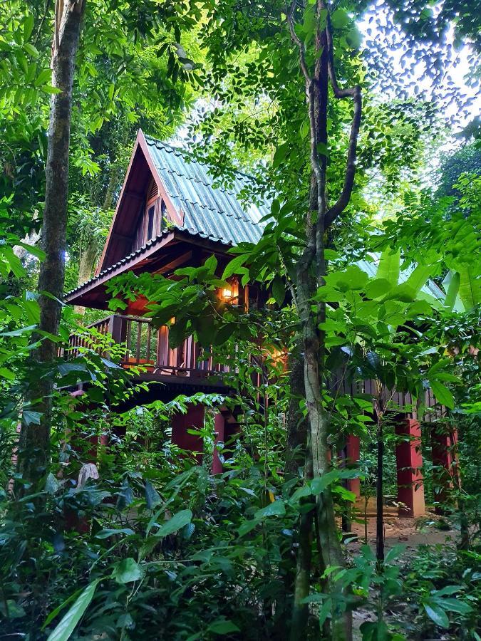 Treehouse Quad,893782672:JPEG