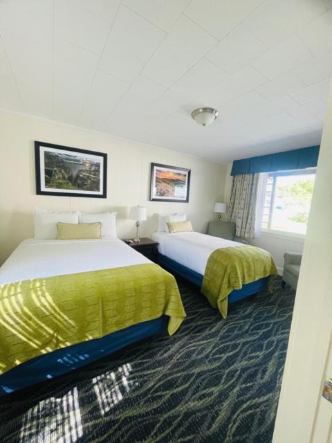 Budget Double or Twin Room,1769565621:JPEG