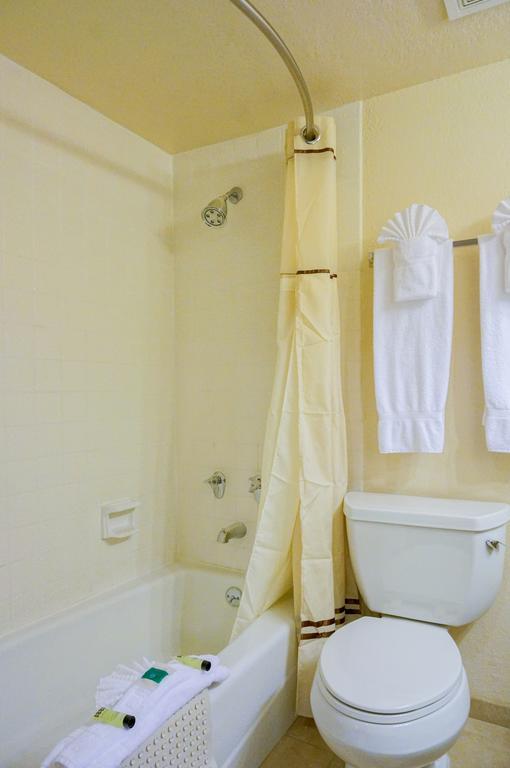Family Suite,112909170:JPEG
