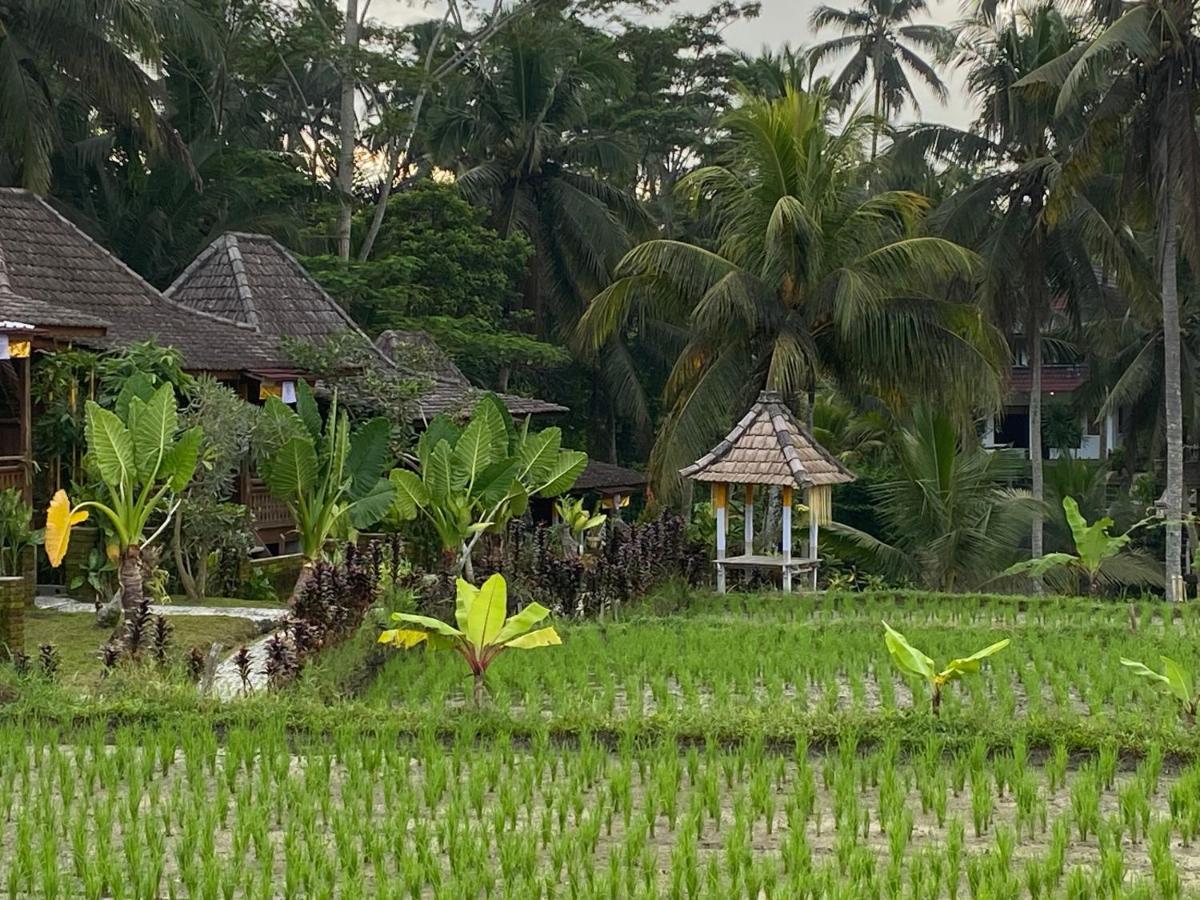 Wooden One-Bedroom Cottage Rice Field View