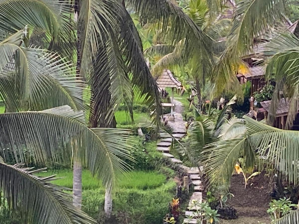 Wooden One-Bedroom Cottage Rice Field View
