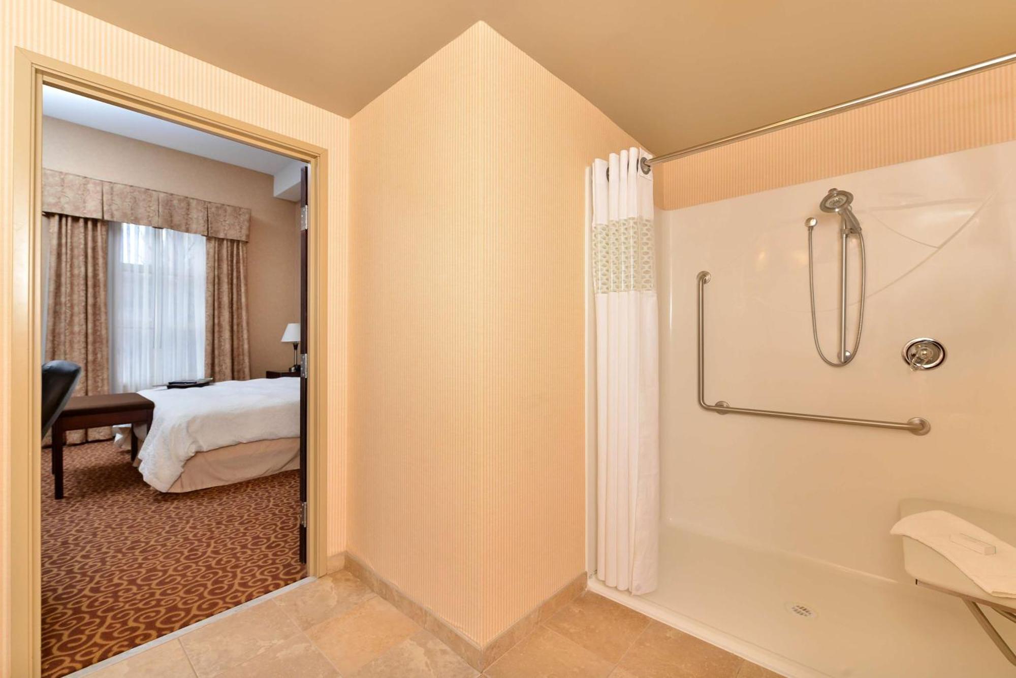 King Accessible Studio with Sofa Bed