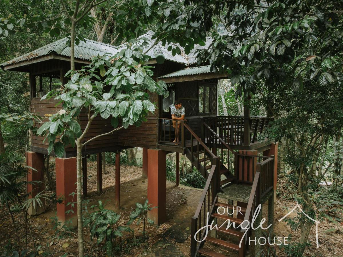 Treehouse Triple,1286890765:JPEG