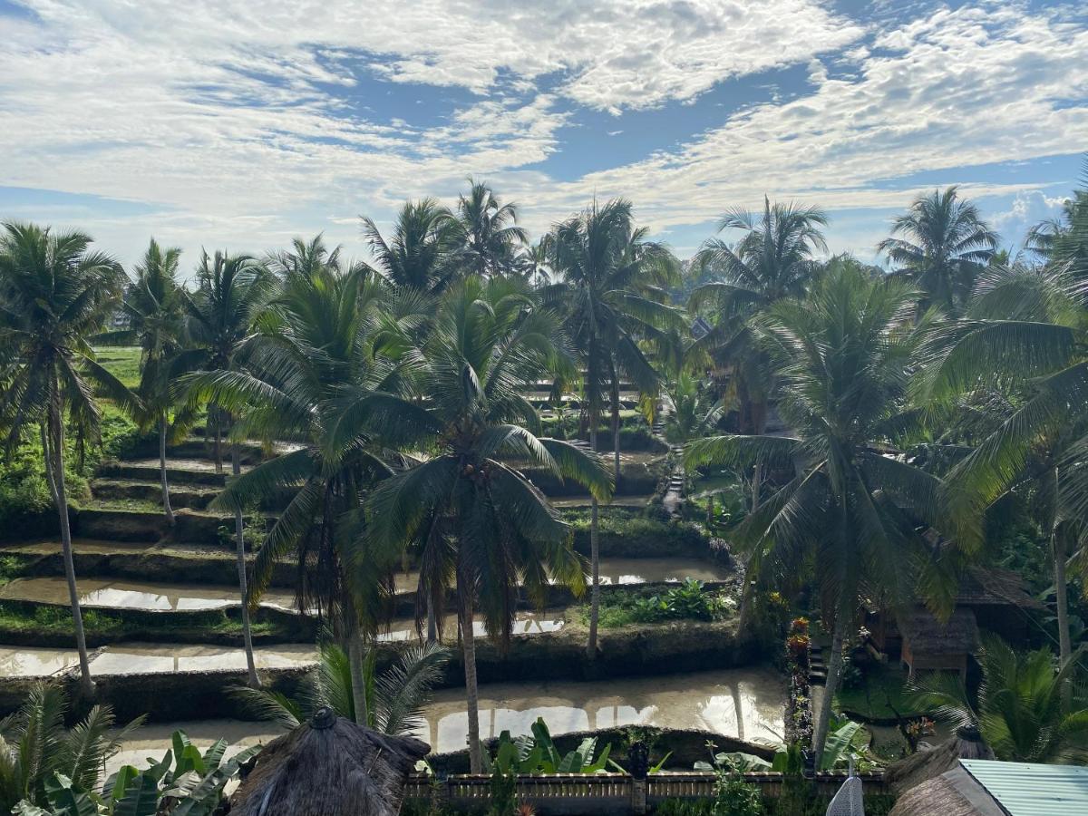 Honeymoon Wooden Suite Rice Field View