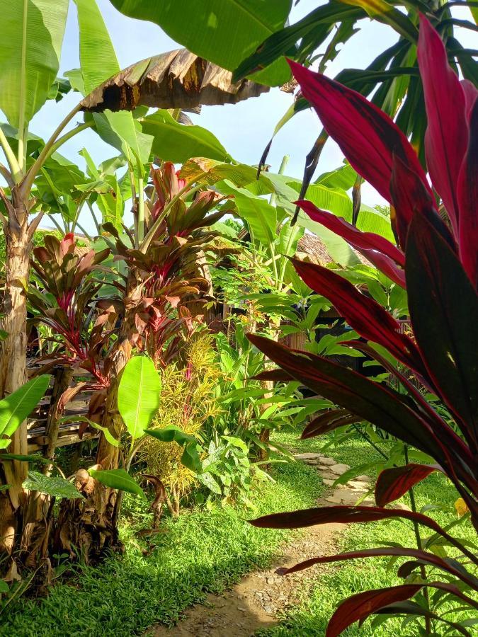 Double Room Garden View