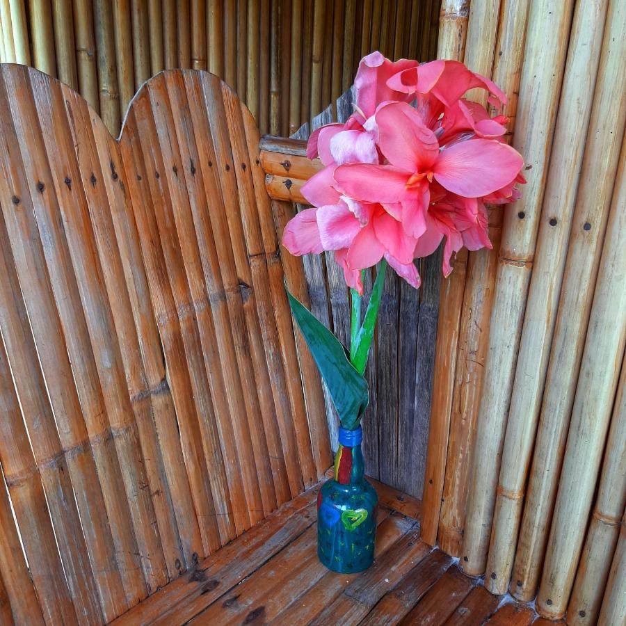 Double Room Garden View