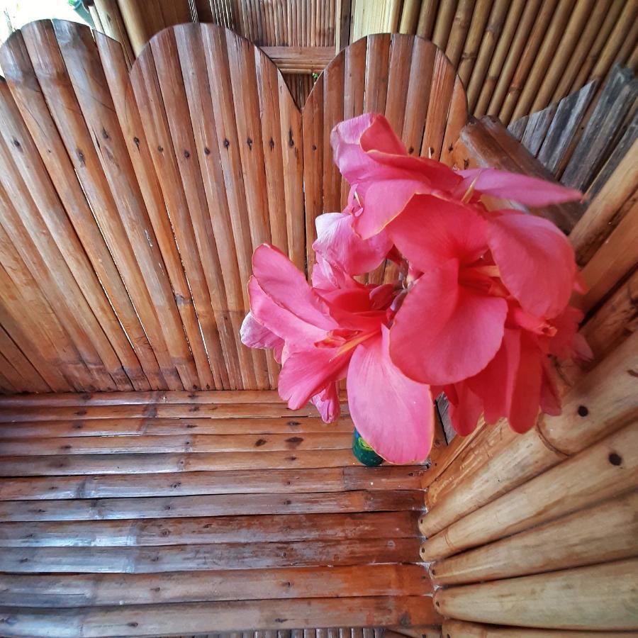 Double Room Garden View