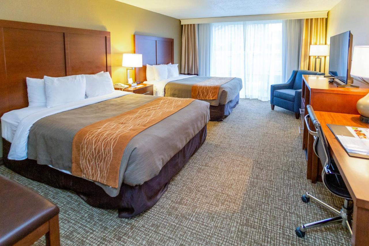 Queen Room with Two Queen Beds - Non-Smoking,1323985036:JPEG