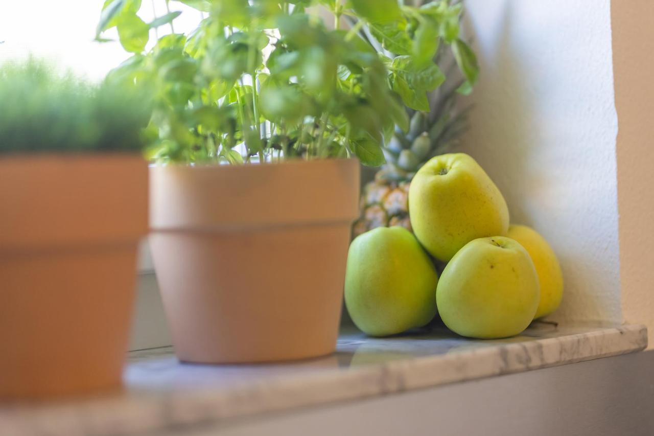 Apartment Disability Access kitchen terrace
