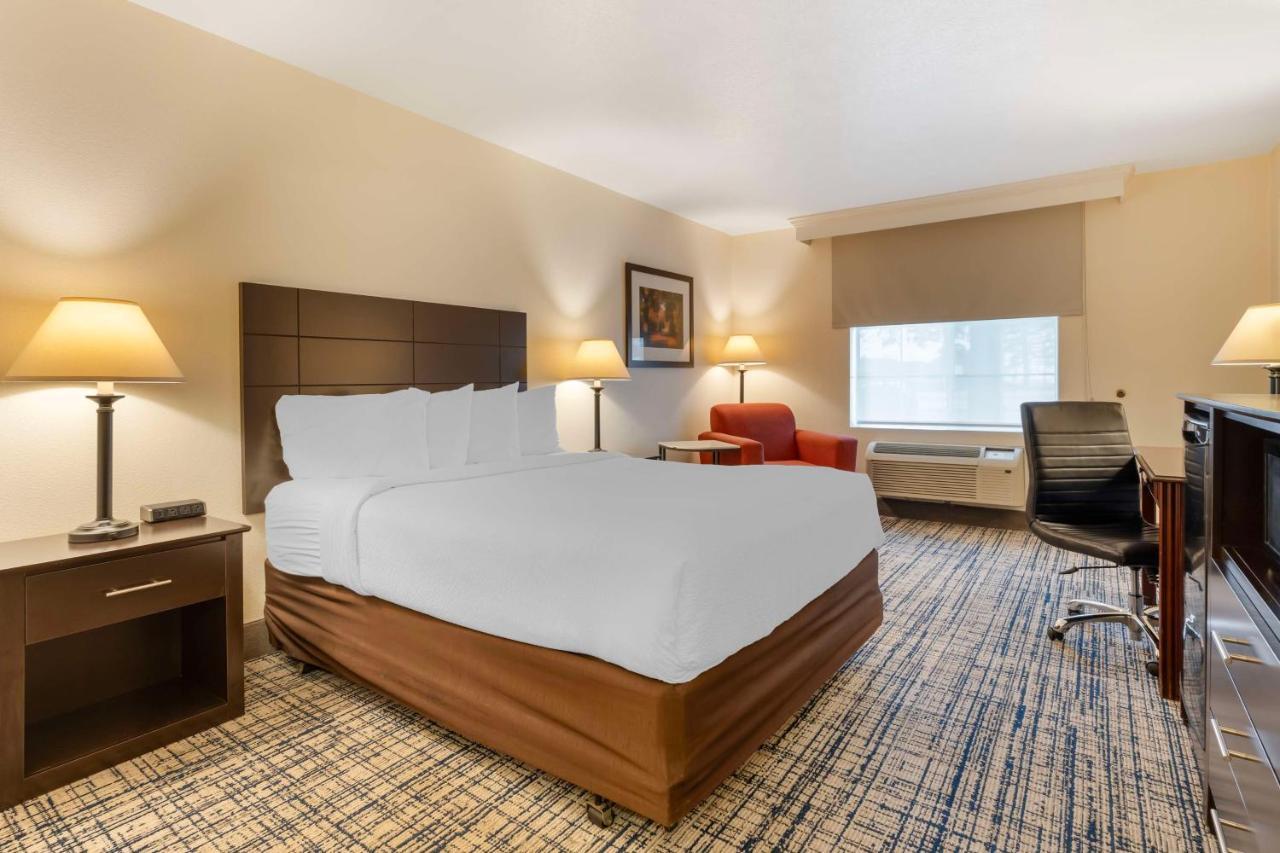 Queen Room - Mobility Accessible/Non-Smoking,1498983700:JPEG