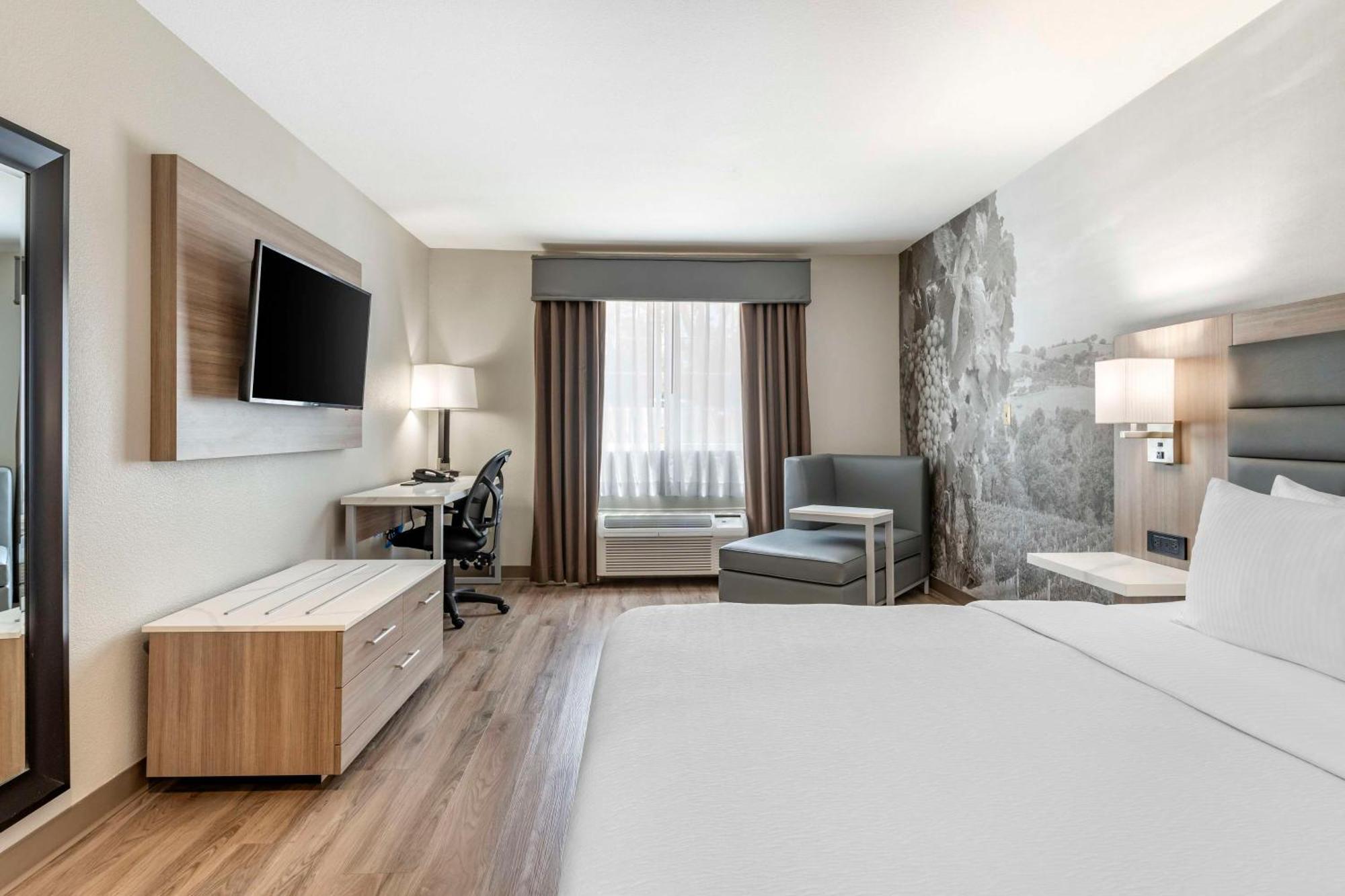 Standard King Room,1499128519:JPEG