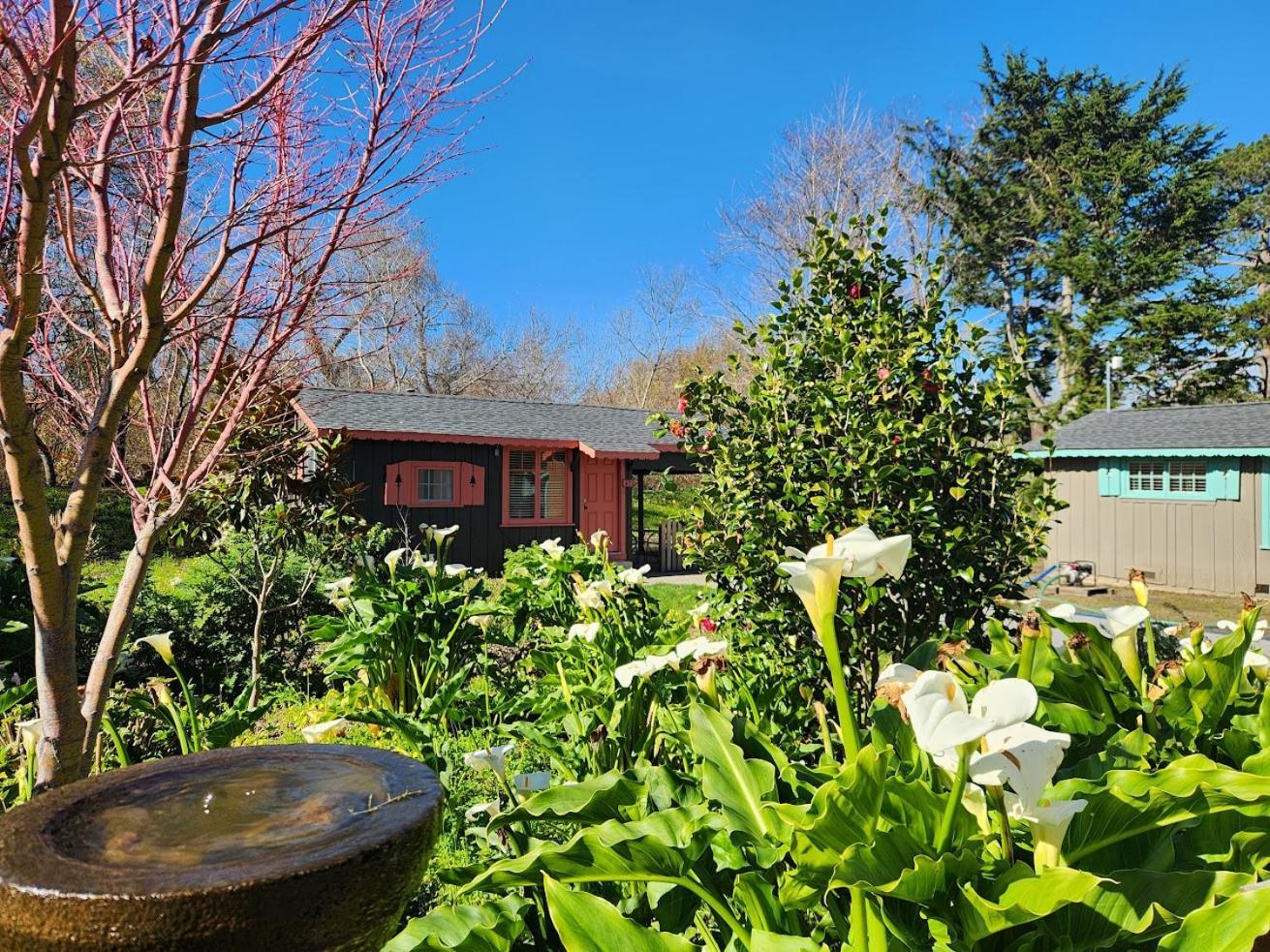 Studio Cottage