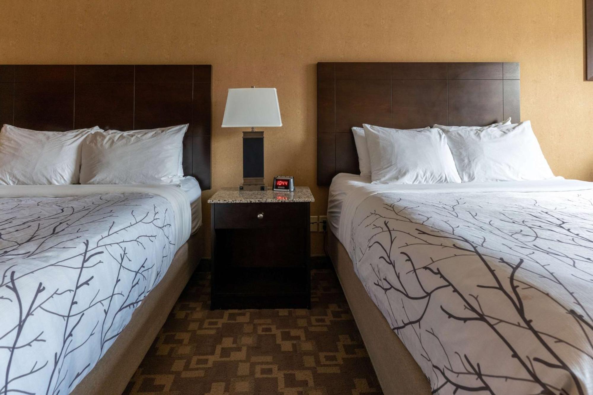 Queen Room Two Queen Beds Non-Smoking
