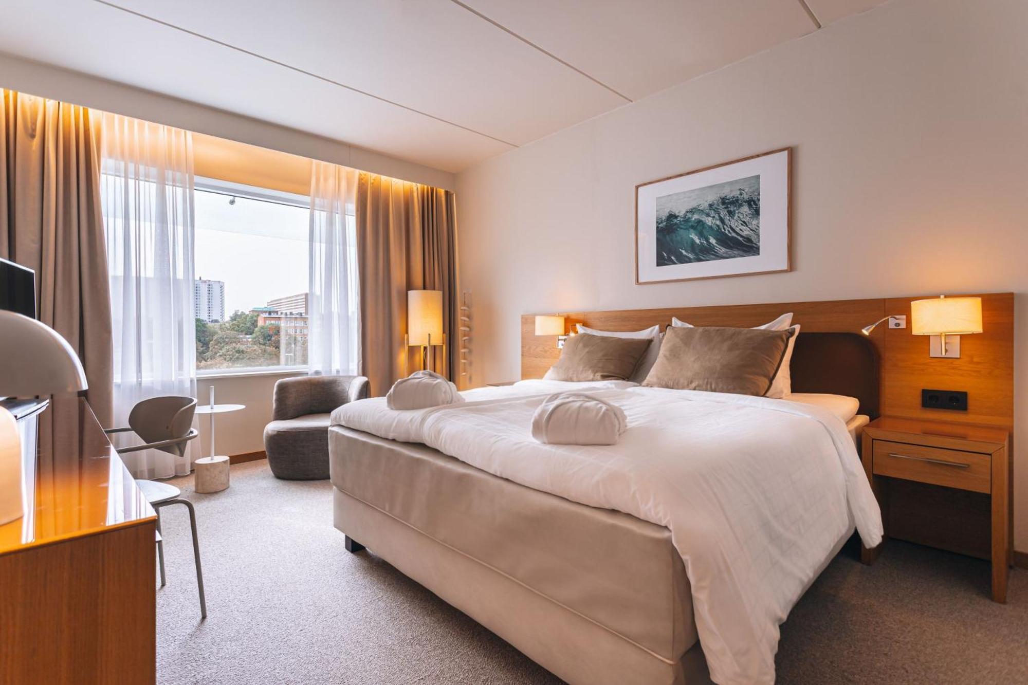 Premium Larger Guest room 1 King,1730021397:JPEG