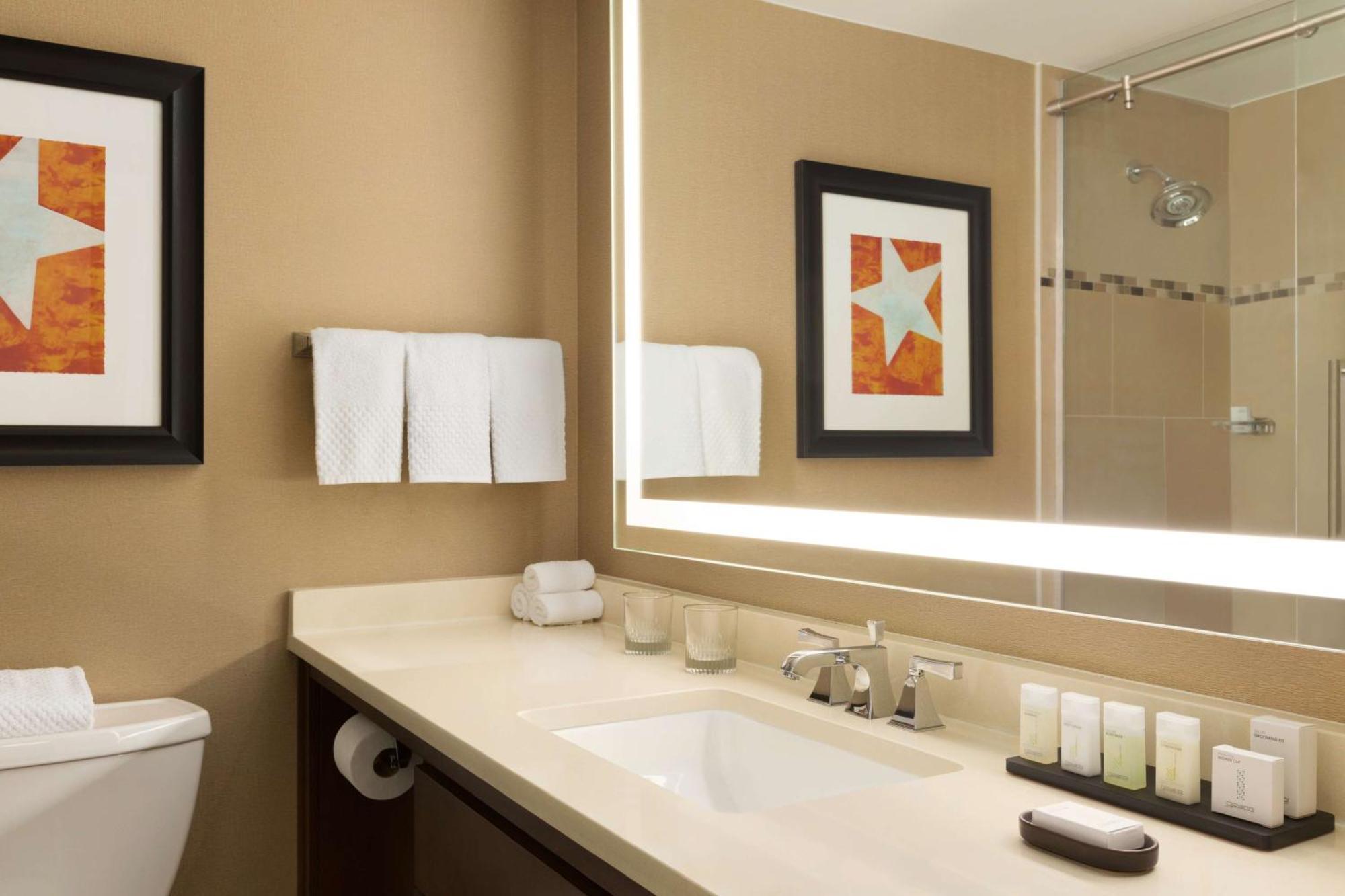 Suite Premium con cama extragrande - no fumadores