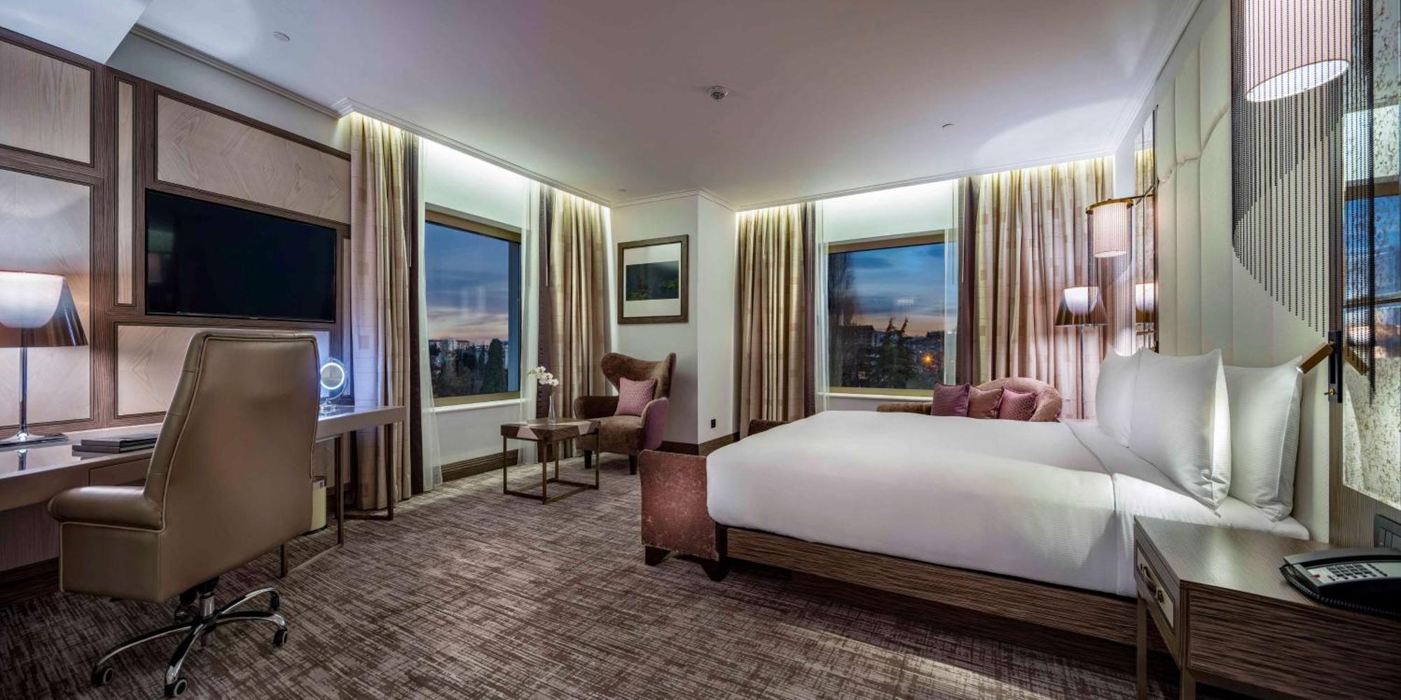 Deluxe King Room Park View