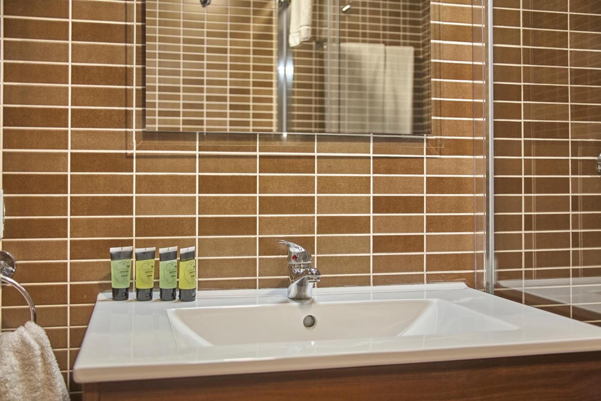 One-Bedroom Apartment Mountain View
