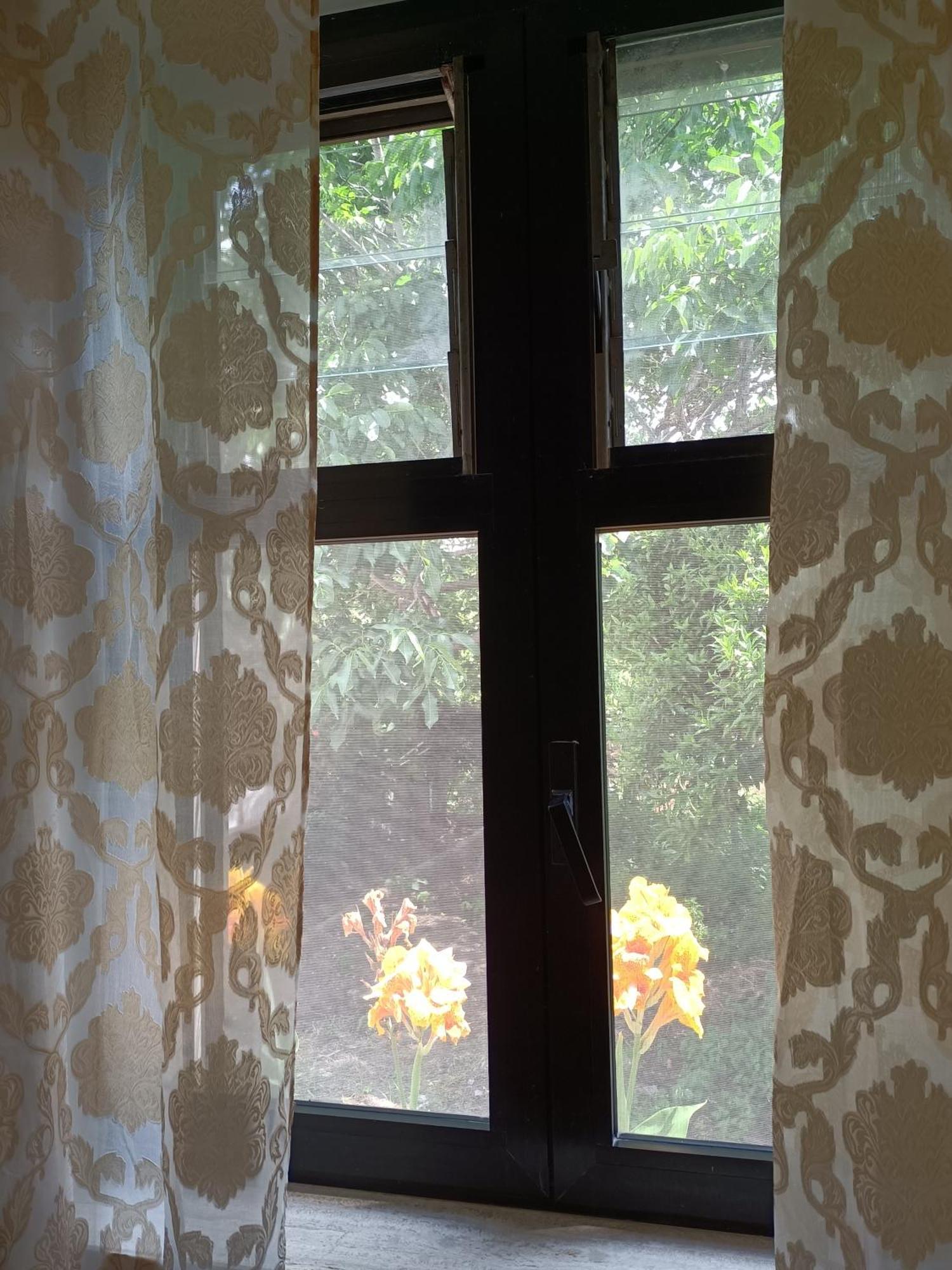 Studio Garden View