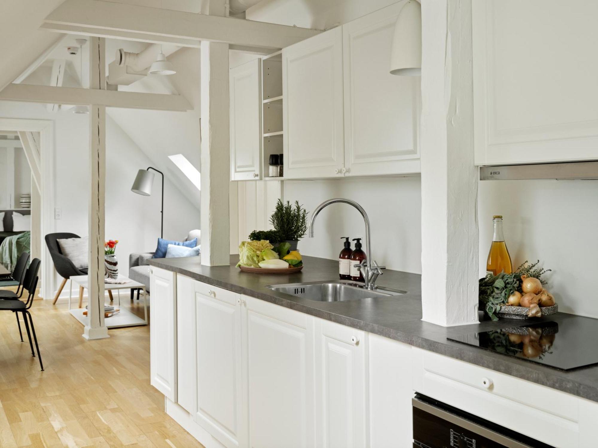Two-Bedroom Loft without elevator 5th Floor