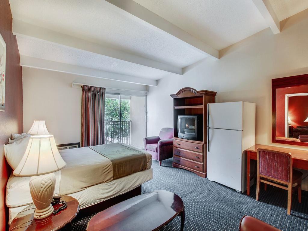 Standard Twin Room,570077529:JPEG