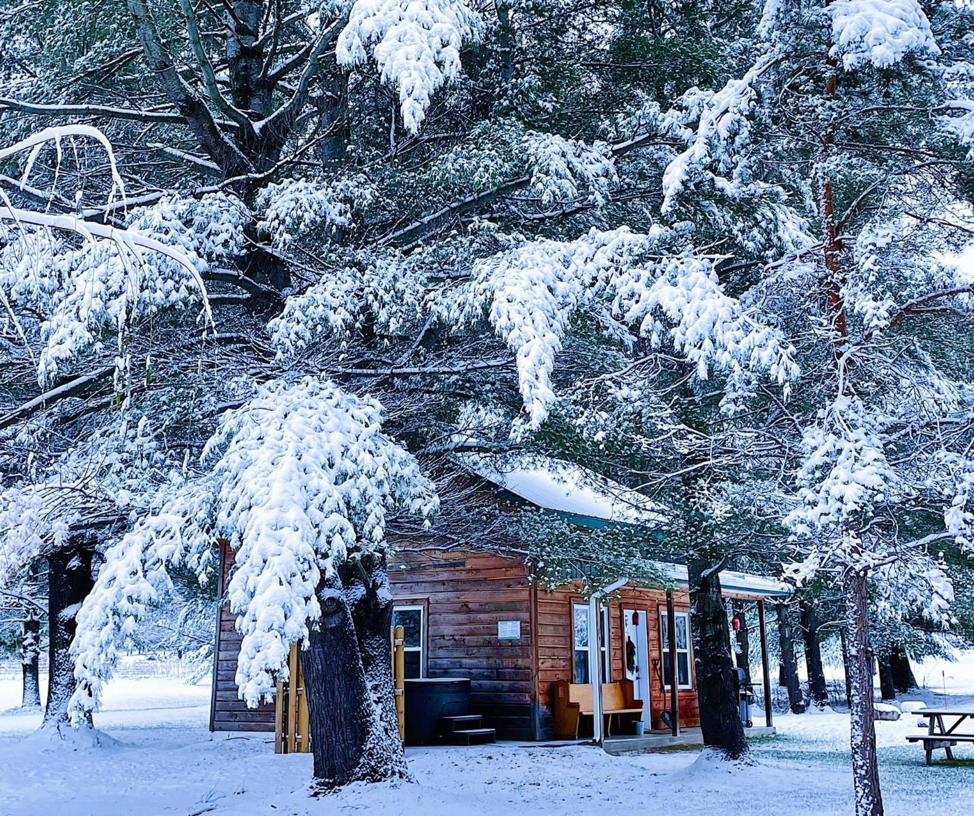 One-Bedroom Chalet,1638502449:JPEG