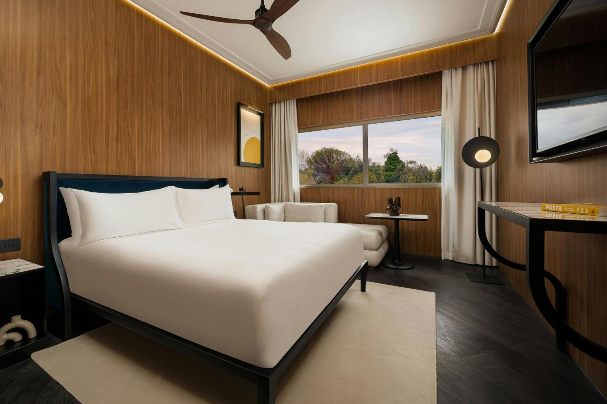 Deluxe EUR King Room