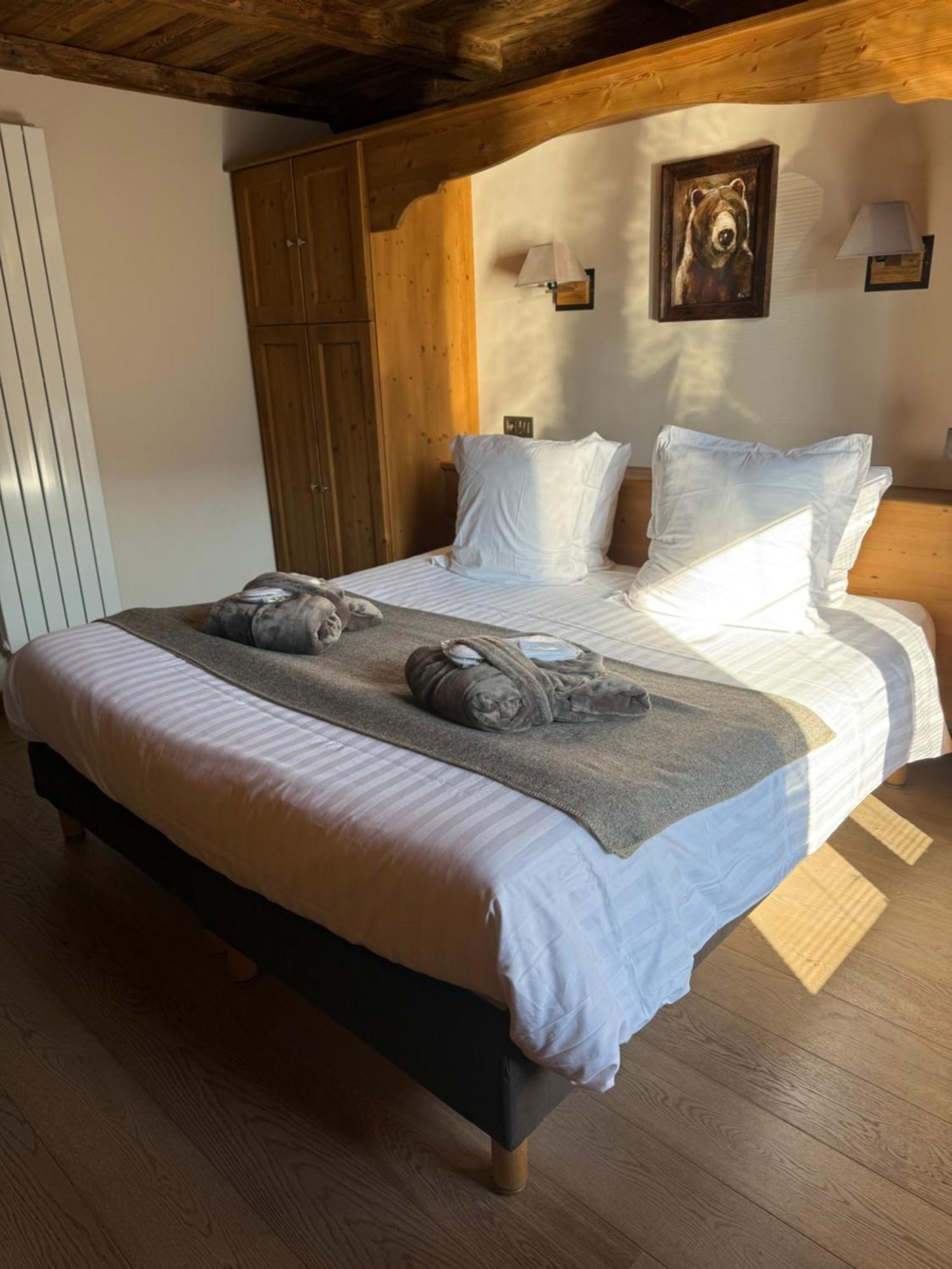 Superior Double or Twin Room Mountain View