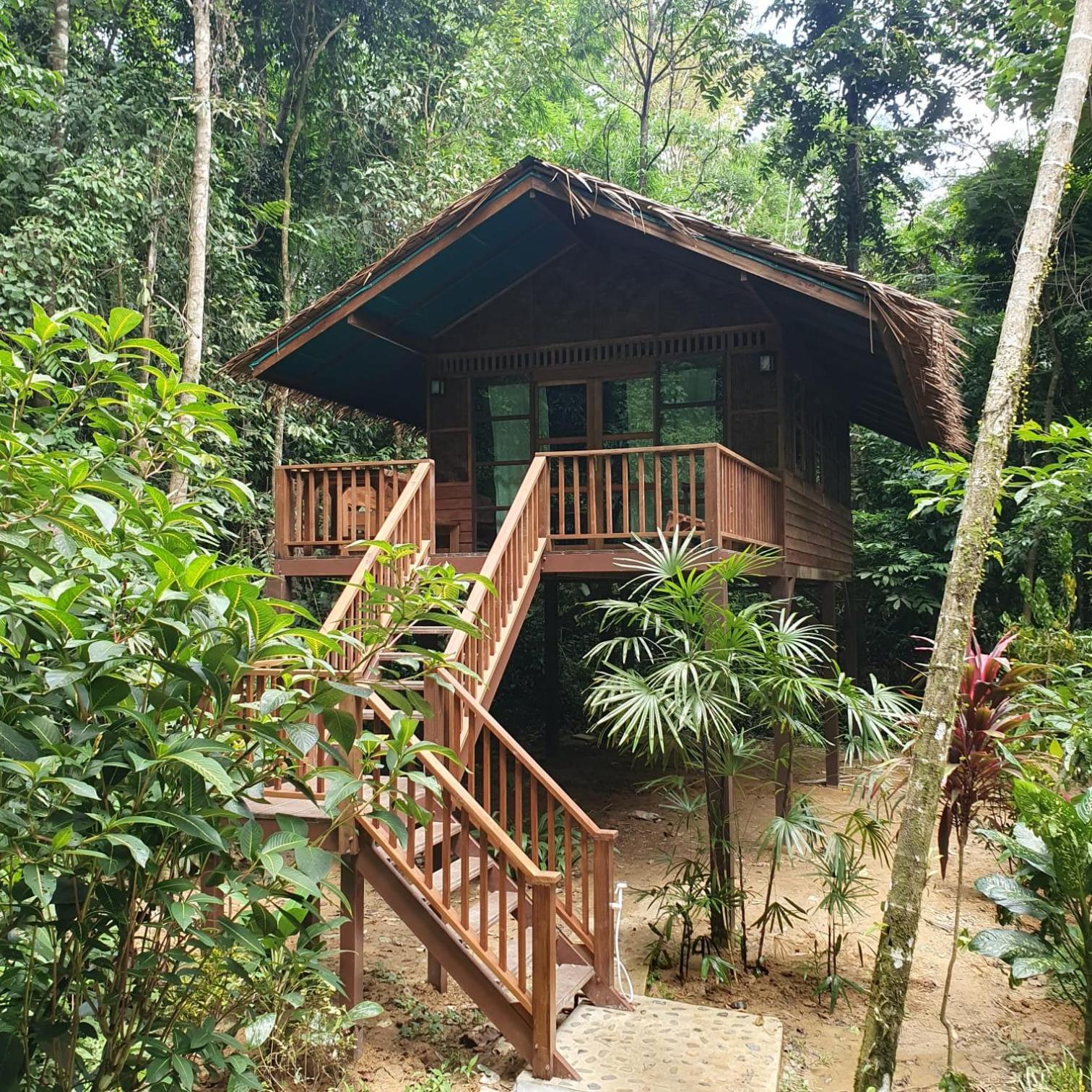 Treehouse Triple