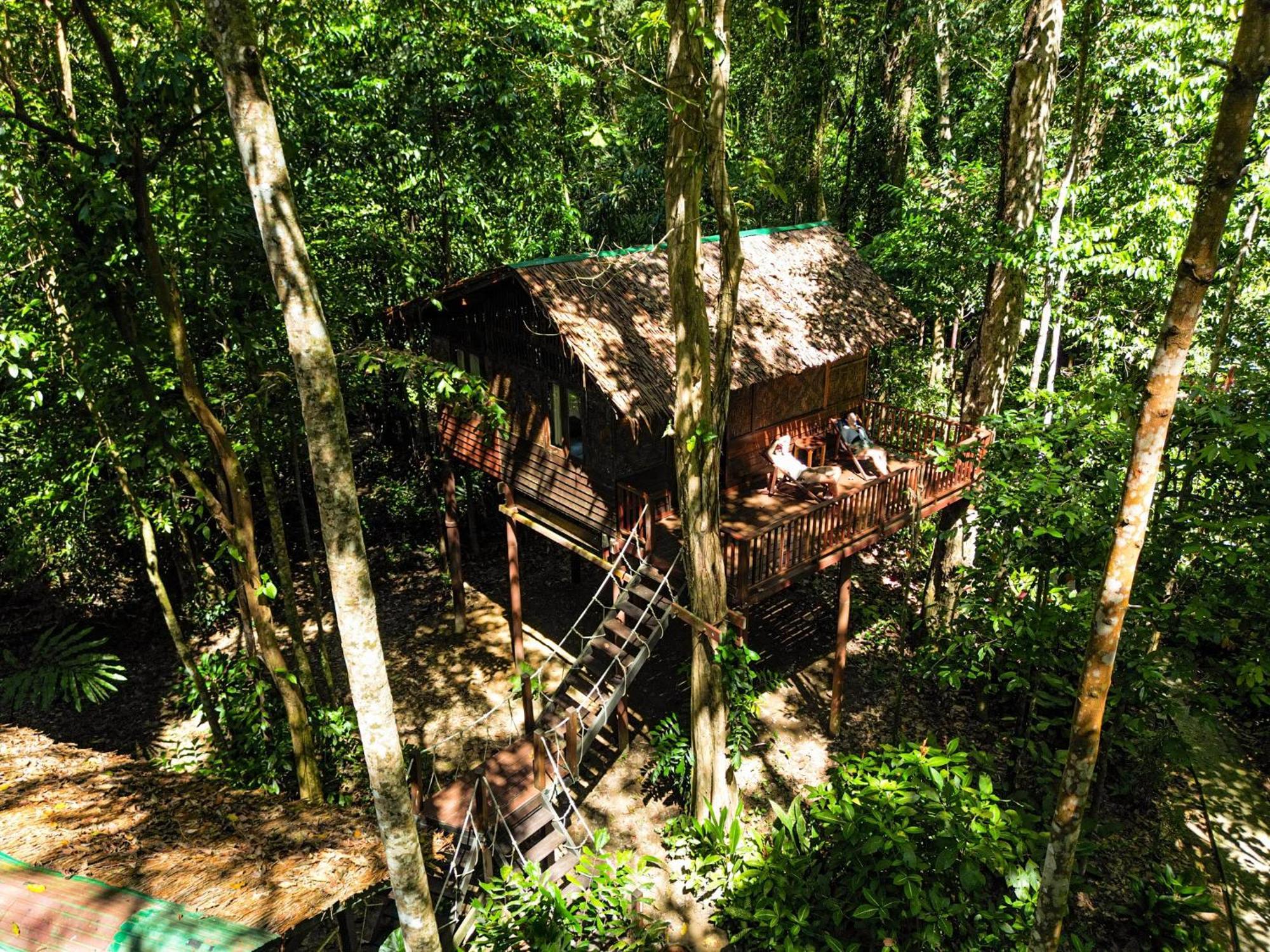 Treehouse Triple