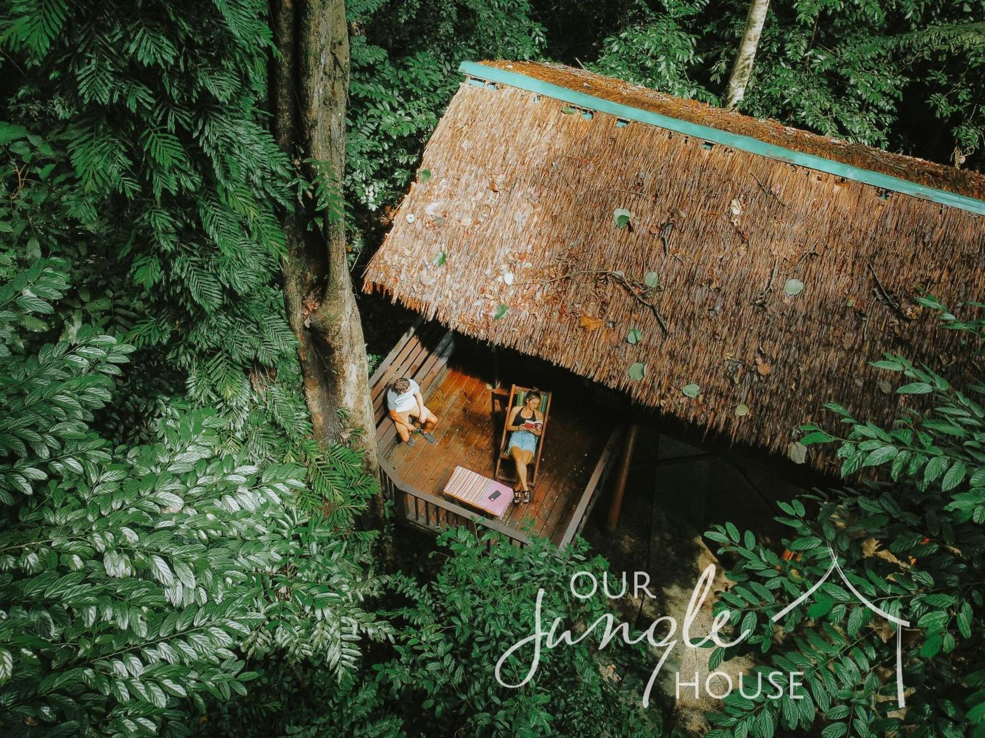 Treehouse Family