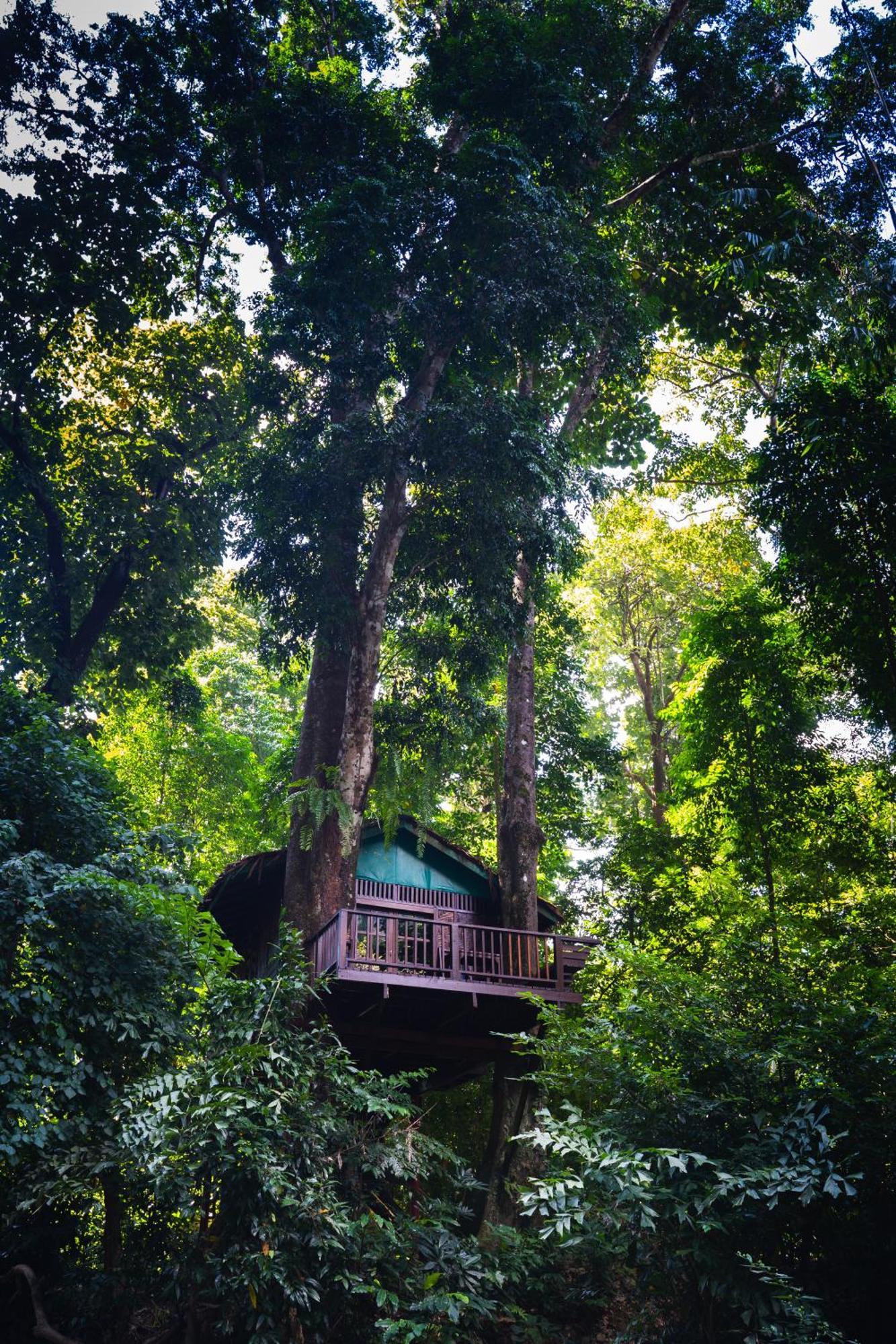 Treehouse Double