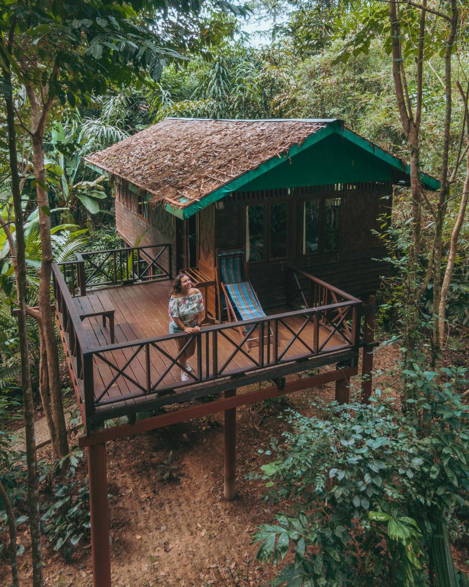 Treehouse Family