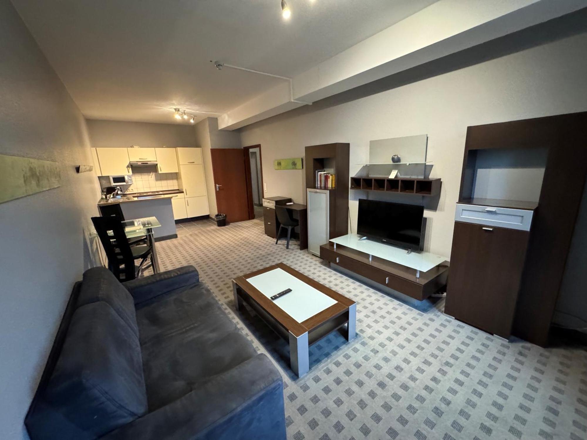 Large 1-Bedroom Apartment