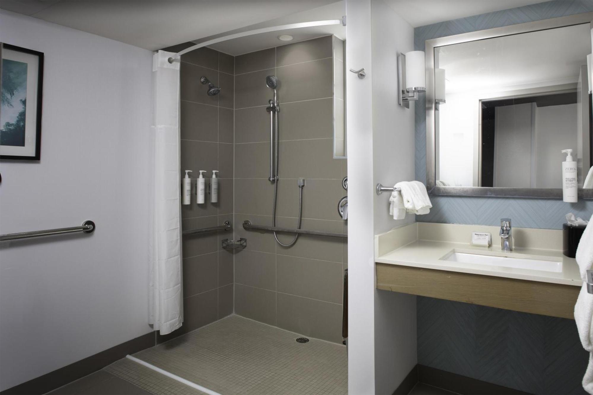 King Room Roll Shower Mobility or Hearing Accessible