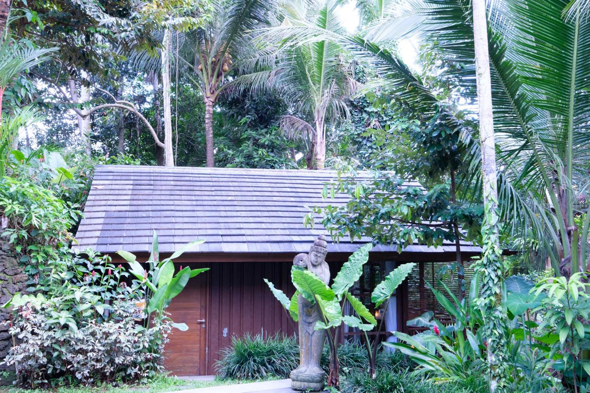 Deluxe Studio