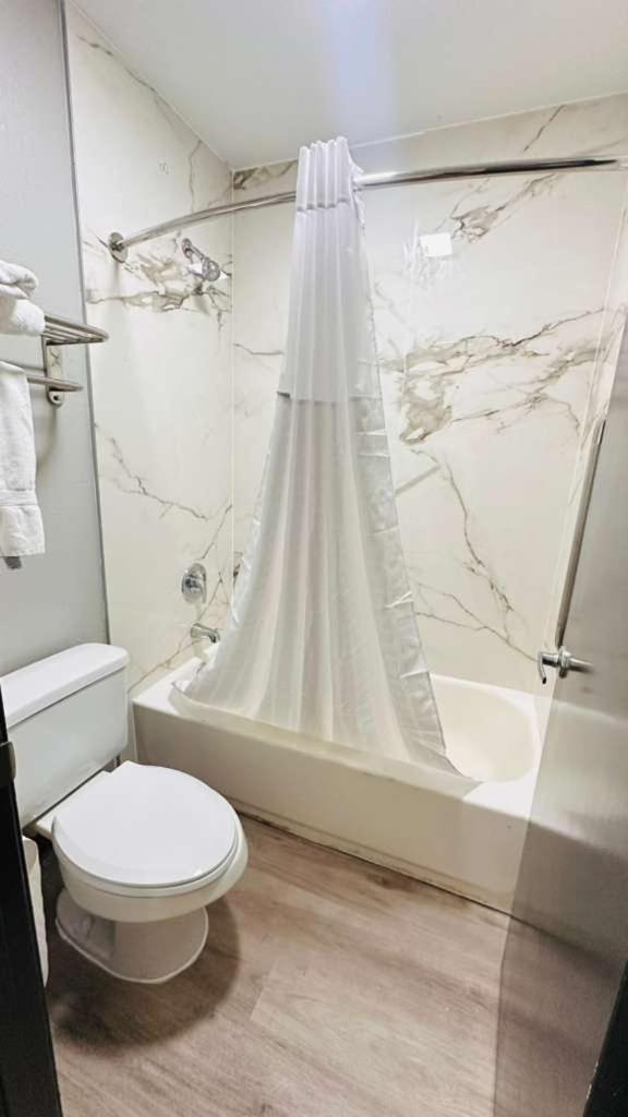 Deluxe Single Room,1765620314:JPEG