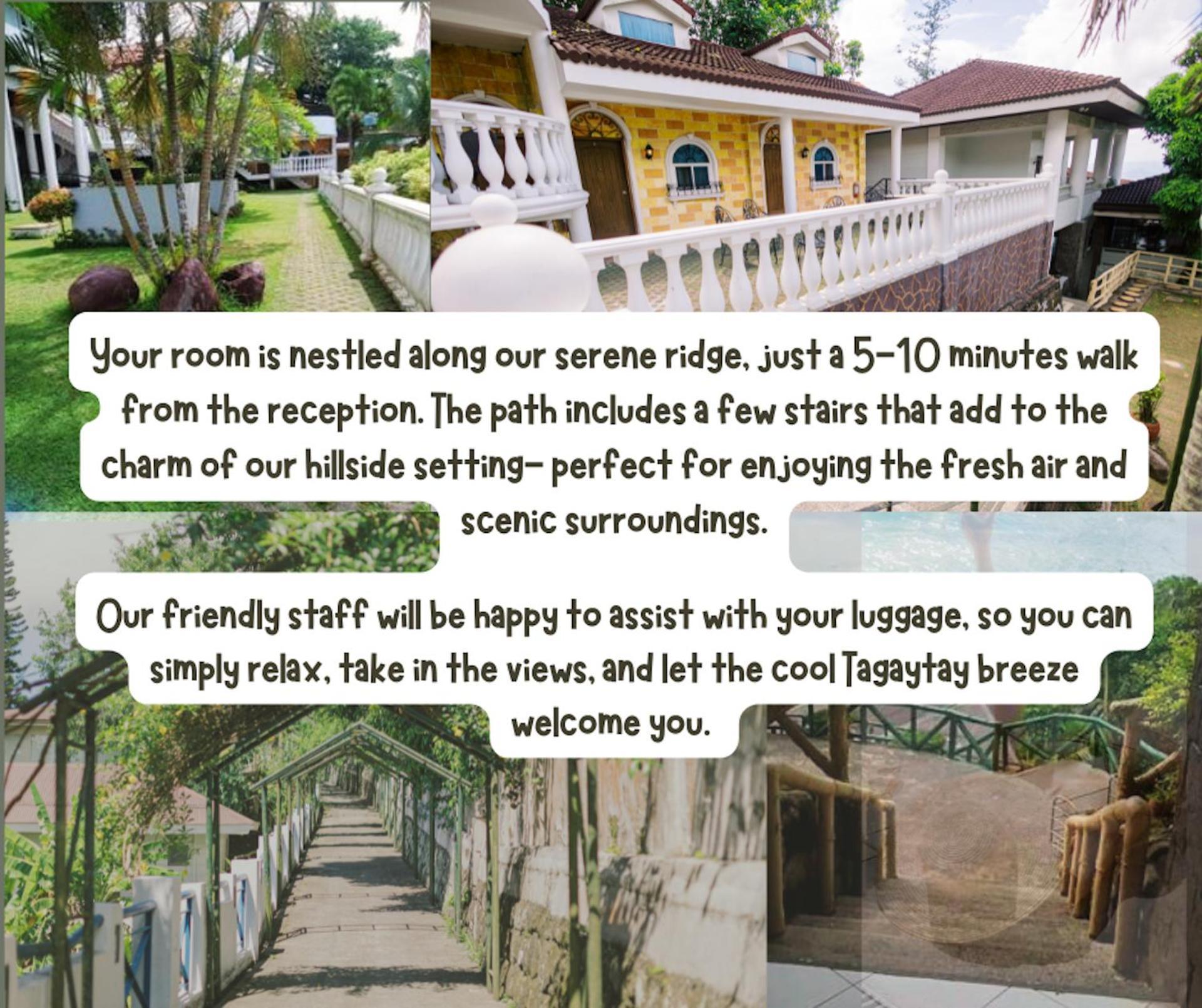 Forest View Twin Room