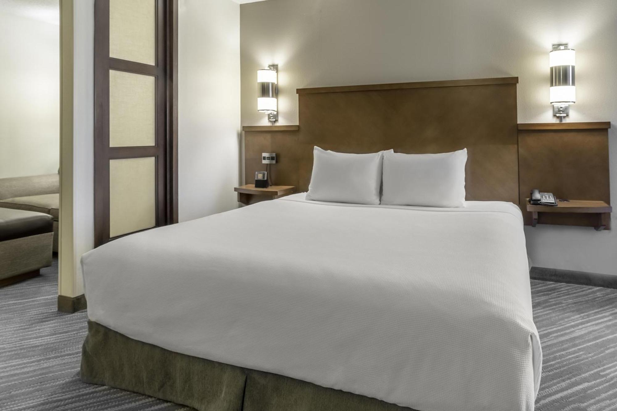 King Room Sofa Bed Accessible Tub Disability Access