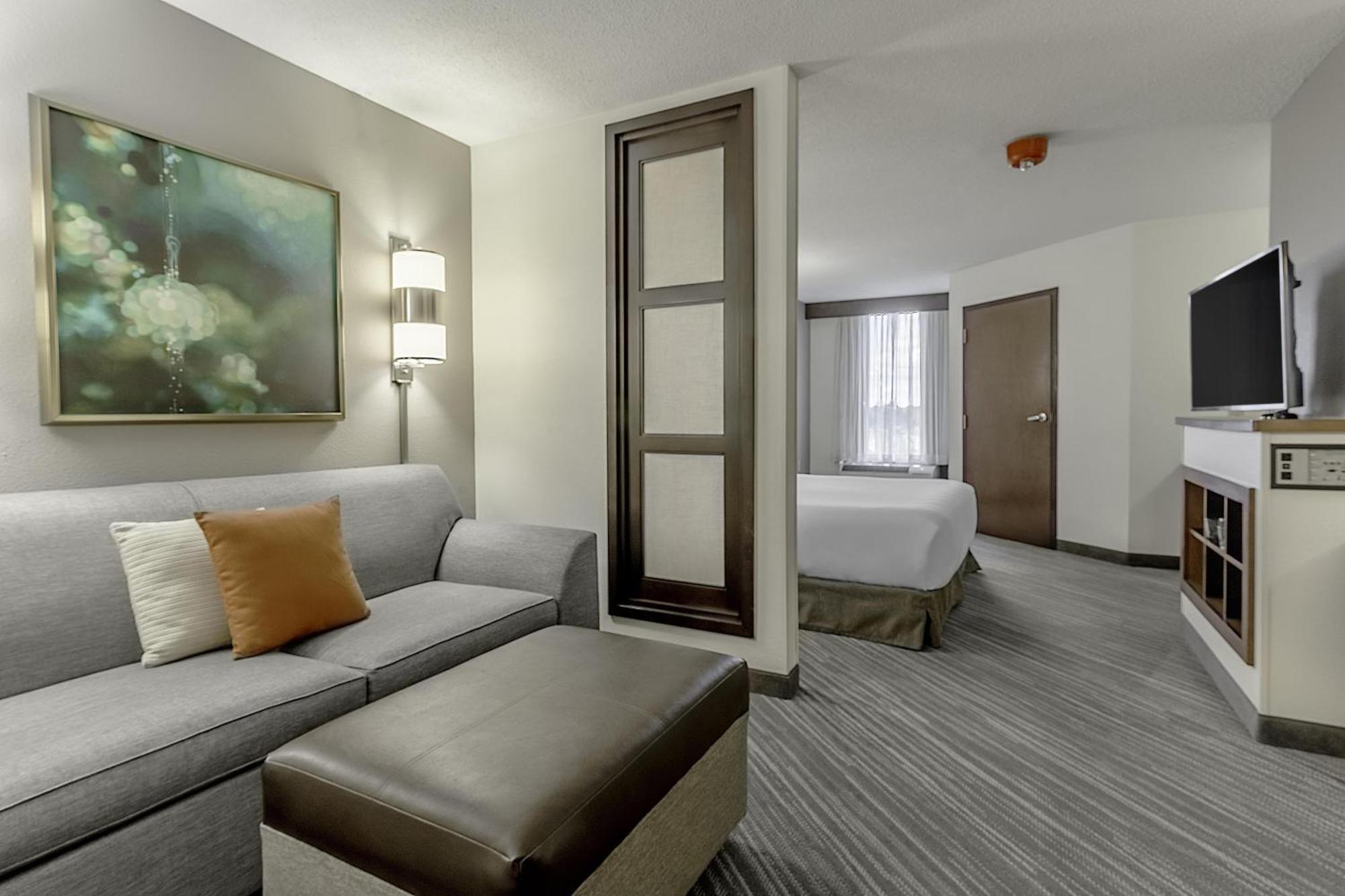 King Room Sofa Bed Accessible Tub Disability Access
