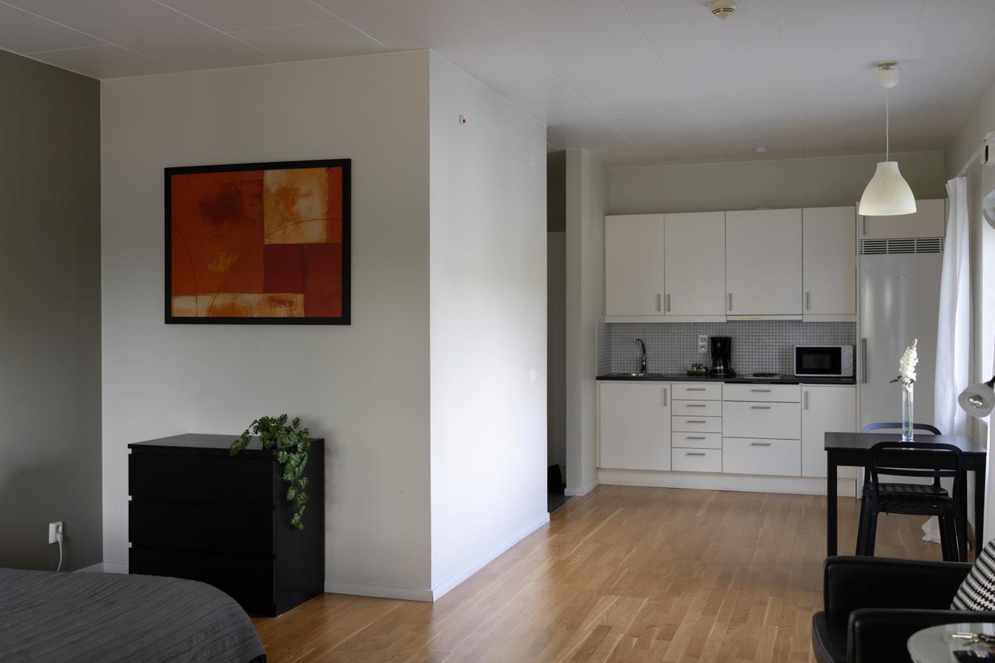 Studio Apartment