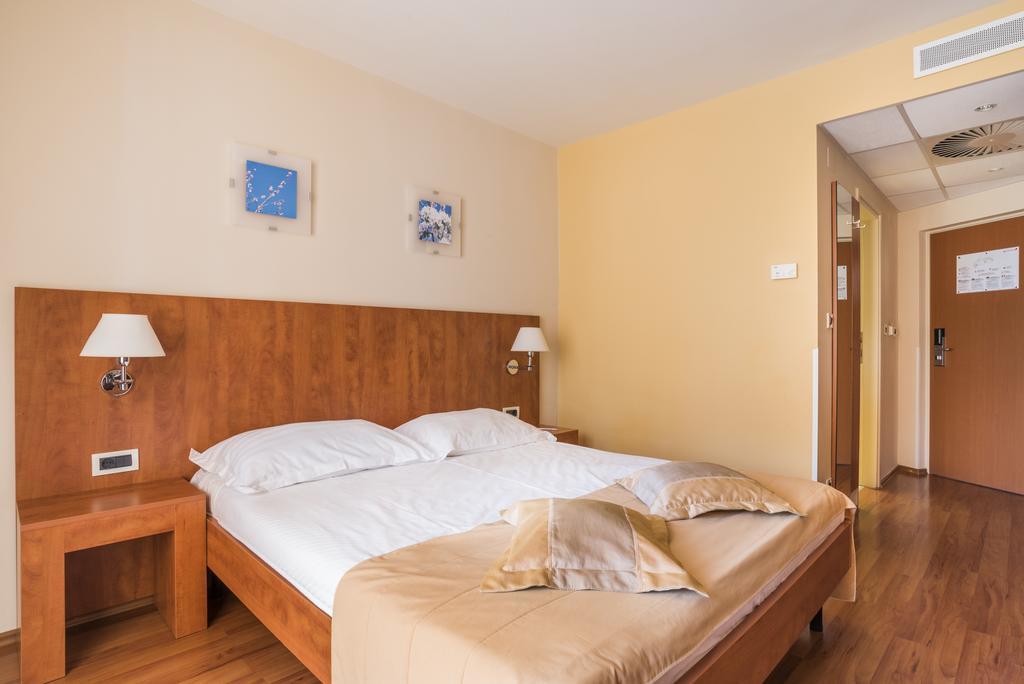 Economy Single Room Park Side
