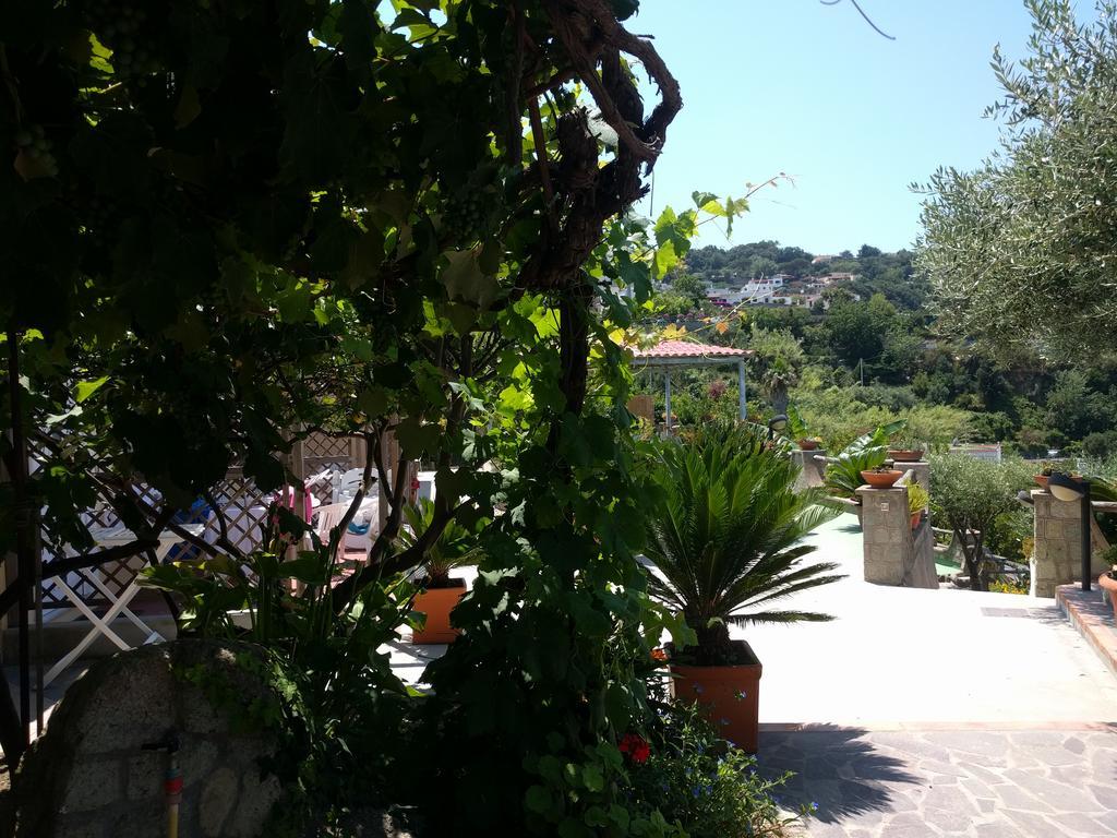 Studio Sea View