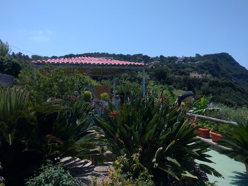 Studio Sea View