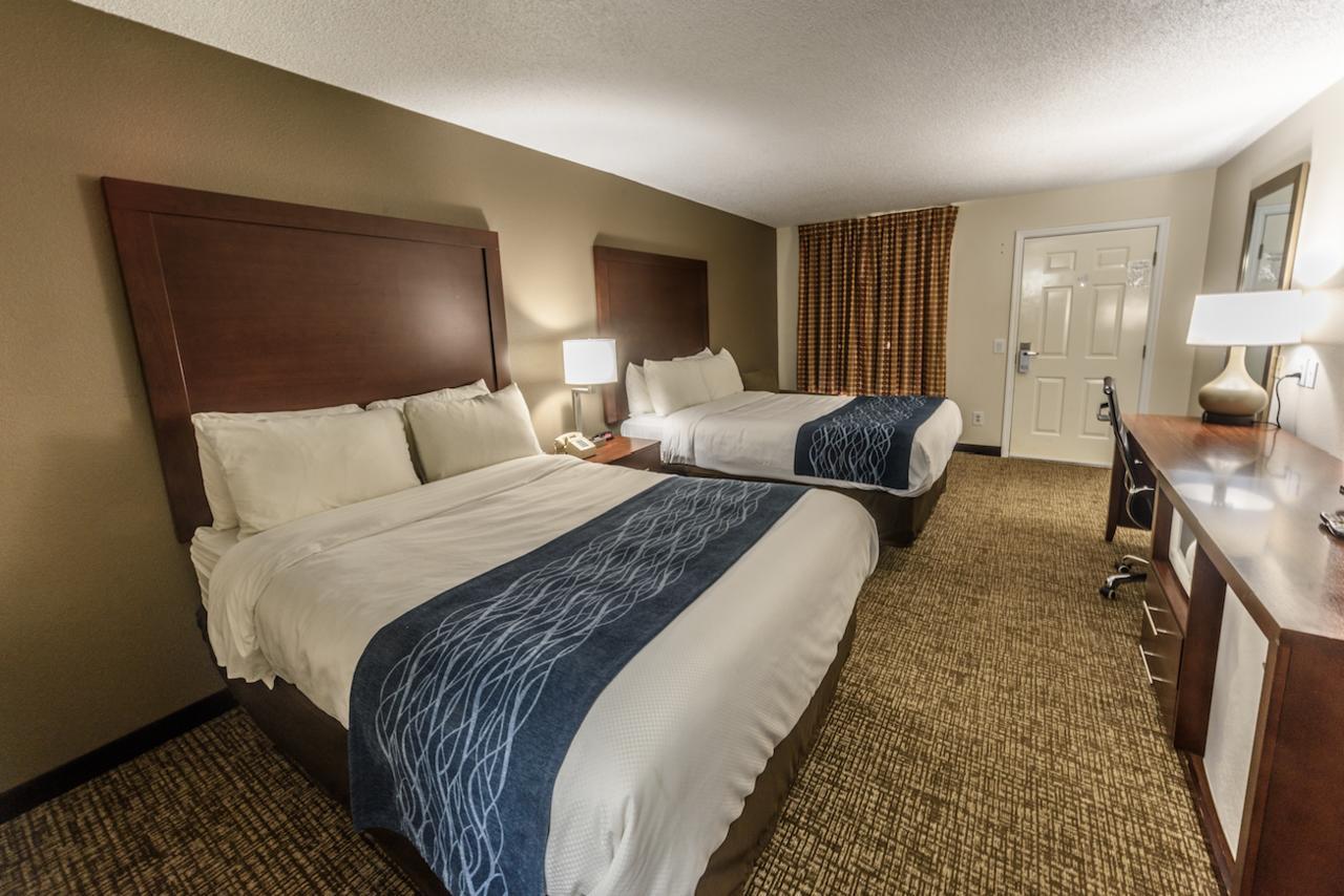 Standard Double or Twin Room