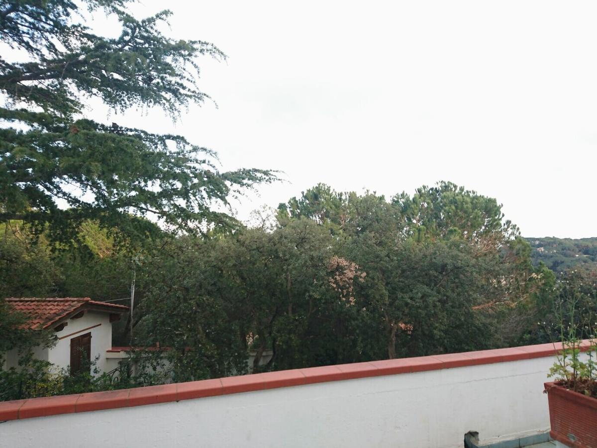 Studio Terrace,613189185:JPEG